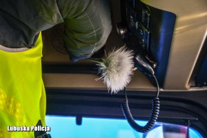 technik kryminalistyki podczas oględzin
